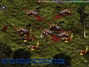 carnage.jpg