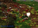 carnage2.jpg